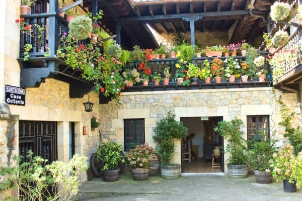 Octavio Guest house
